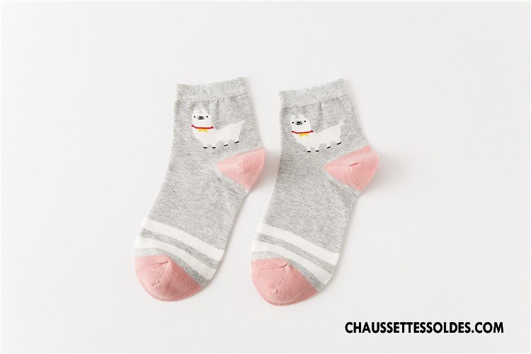 Chaussettes Mi Hautes Femme Nouveau Le Nouveau Chaussette Courte Milieu Coton Bio Vent D'université Rose